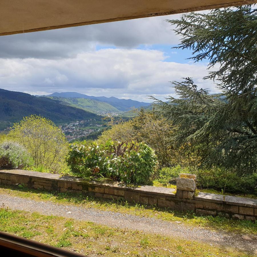 The View * Fellering